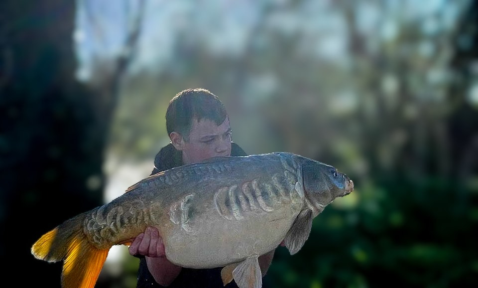 How to Target the Carp at Apex Lake in Burnham-on-Sea